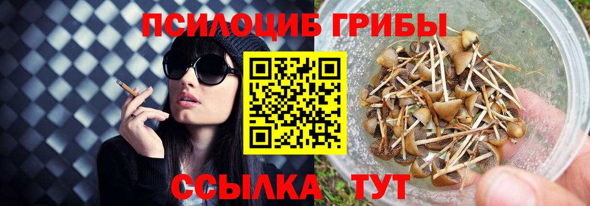 Галлюциногенные грибы GOLDEN TEACHER  Вход с VPN  Биробиджан 
